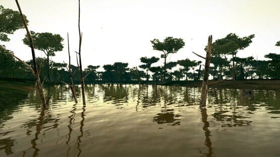Ultimate Fishing Simulator: Amazon River DLC screenshot 18