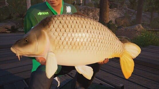 Fishing Sim World: Pro Tour + The Catch: Carp & Coarse screenshot 3