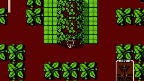 Quattro Arcade screenshot 3