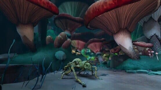 All in! Bundle screenshot 3