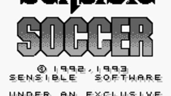 Sensible Soccer: European Champions screenshot 10