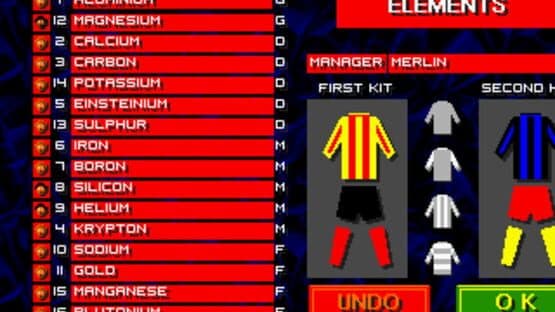 Championship Soccer '94 screenshot 4