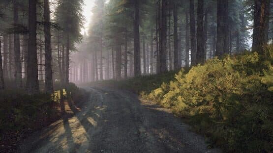 DiRT Rally 2.0: Wales (Rally Location) screenshot 9