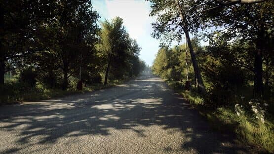 DiRT Rally 2.0: Germany (Rally Location) screenshot 5