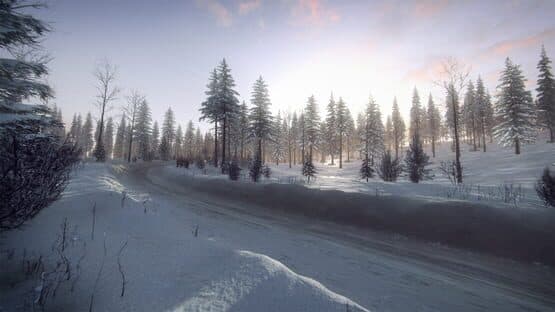 DiRT Rally 2.0: Sweden (Rally Location) screenshot 2
