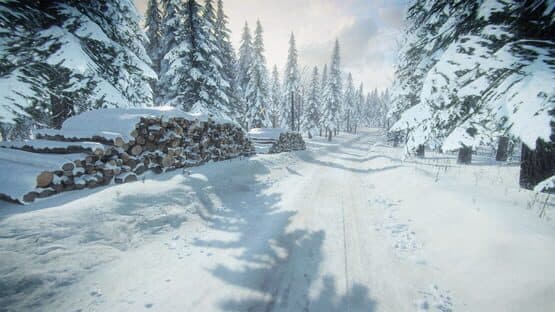 DiRT Rally 2.0: Sweden (Rally Location) screenshot 3
