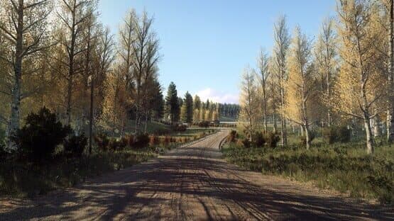 DiRT Rally 2.0: Finland (Rally Location) screenshot 4