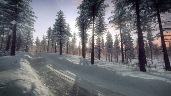 DiRT Rally 2.0: Sweden (Rally Location) screenshot 6