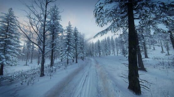 DiRT Rally 2.0: Sweden (Rally Location) screenshot 7