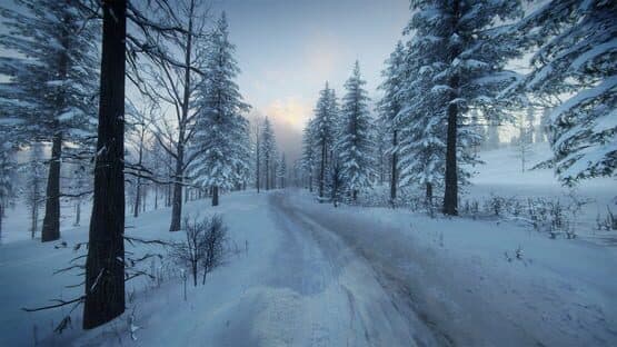 DiRT Rally 2.0: Sweden (Rally Location) screenshot 8