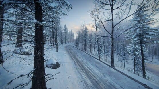 DiRT Rally 2.0: Sweden (Rally Location) screenshot 10