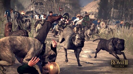 Total War: Rome II - Unit Pack: Beasts of War screenshot 4