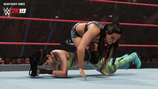 WWE 2K19: New Moves screenshot 4