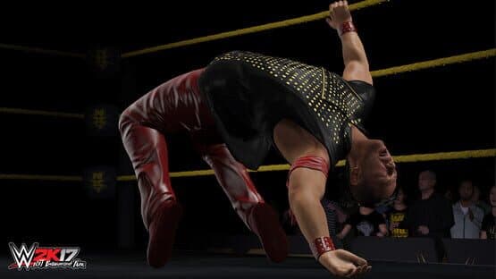 WWE 2K17: NXT Enhancement Pack screenshot 2