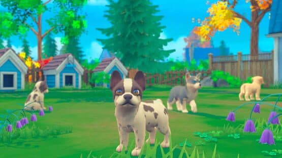 My Universe: Puppies and Kittens screenshot 2