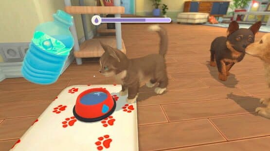 My Universe: Puppies and Kittens screenshot 5