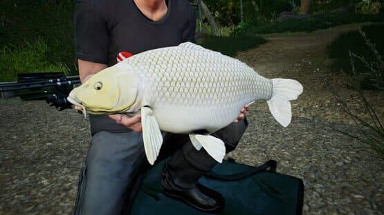 Euro Fishing: Hunters Lake screenshot 5