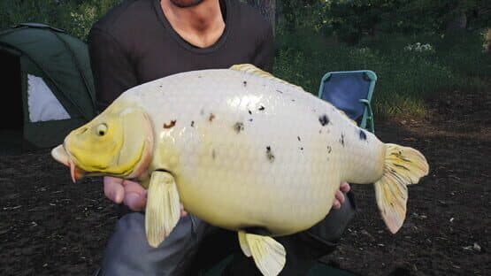 Euro Fishing: Lilies screenshot 9