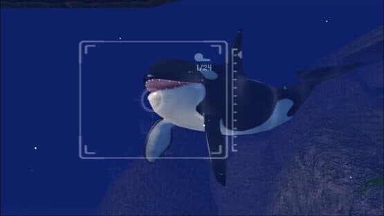 Sealife Safari screenshot 2