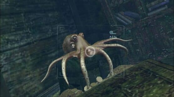 Sealife Safari screenshot 9