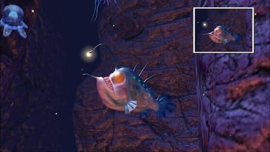 Sealife Safari screenshot 13
