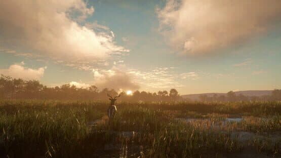 TheHunter: Call of the Wild - Mississippi Acres Preserve screenshot 8