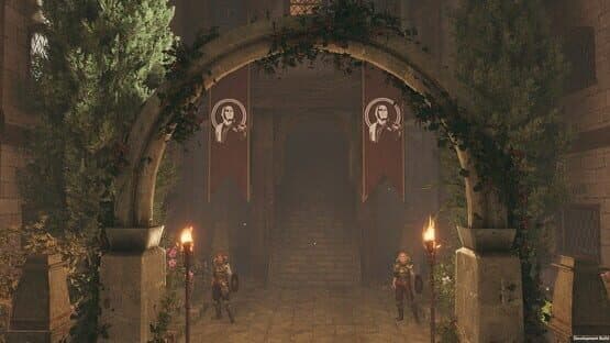 Solasta: Crown of the Magister - Lost Valley screenshot 1