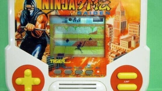 Ninja Gaiden screenshot 1