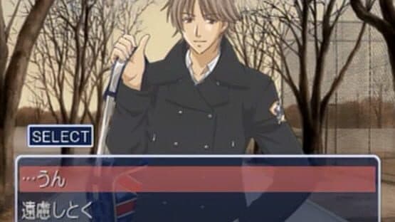 True Fortune screenshot 2