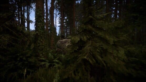 Sons of the Forest screenshot 8