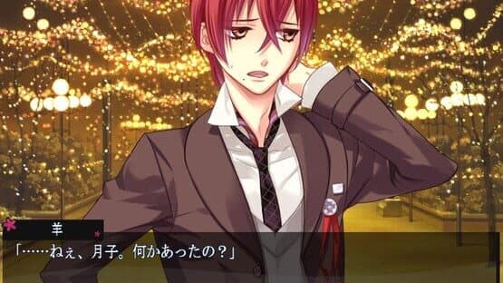 Starry Sky: After Spring screenshot 4