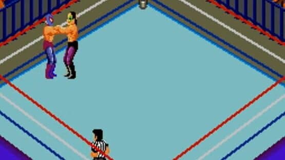 Fire Pro Wrestling: Combination Tag screenshot 3