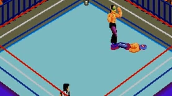 Fire Pro Wrestling: Combination Tag screenshot 2