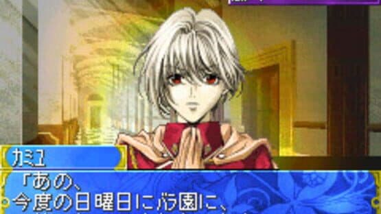 Tanbi Musou: Meine Liebe screenshot 1