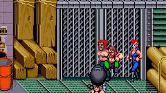 Double Dragon II: The Revenge screenshot 5