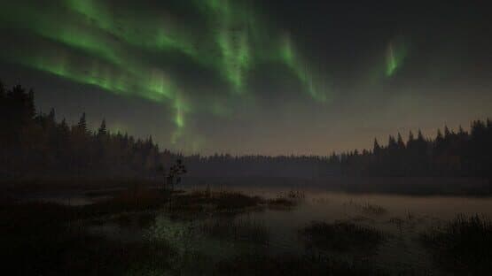 TheHunter: Call of the Wild - Revontuli Coast screenshot 5