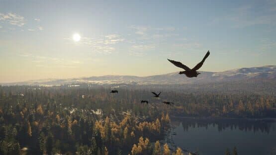 TheHunter: Call of the Wild - Revontuli Coast screenshot 7