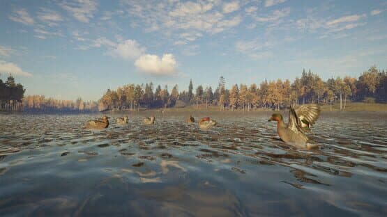 TheHunter: Call of the Wild - Revontuli Coast screenshot 11