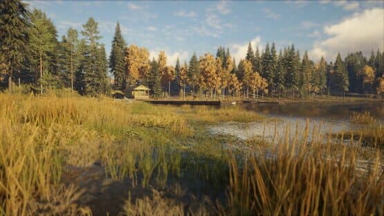 TheHunter: Call of the Wild - Revontuli Coast screenshot 12