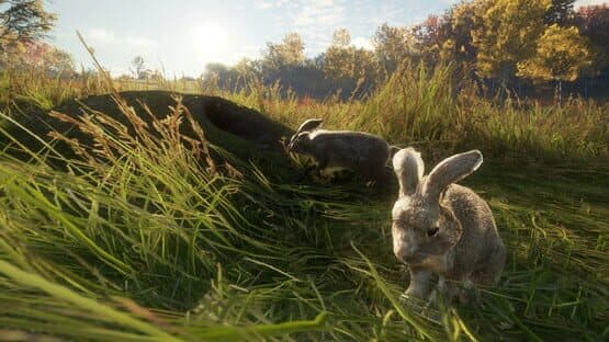 TheHunter: Call of the Wild - Free Species: European Rabbit screenshot 4