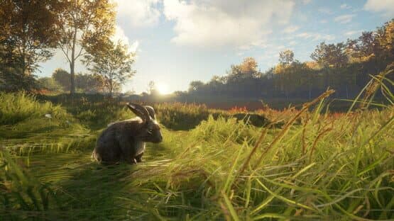 TheHunter: Call of the Wild - Free Species: European Rabbit screenshot 5