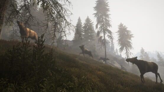 TheHunter: Call of the Wild - Facing the Wild 1 screenshot 4