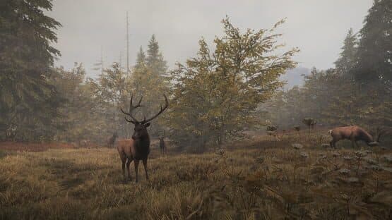 TheHunter: Call of the Wild - Facing the Wild 1 screenshot 1