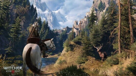 The Witcher 3: Wild Hunt screenshot 8