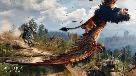 The Witcher 3: Wild Hunt screenshot 9