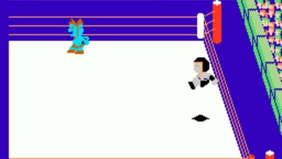 Tag Team Match M.U.S.C.L.E. screenshot 1