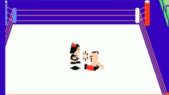 Tag Team Match M.U.S.C.L.E. screenshot 2