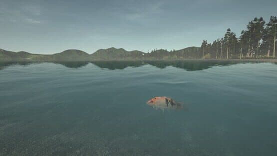 Ultimate Fishing Simulator: Taupo Lake screenshot 12