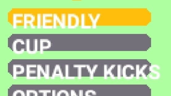 Real Football 2008 screenshot 3