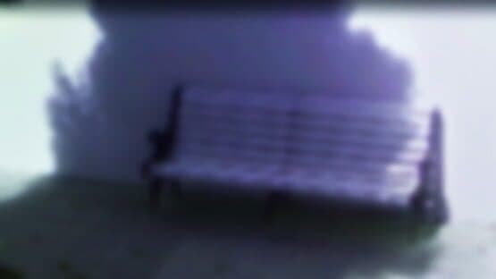 Fiestas del Pueblo screenshot 3